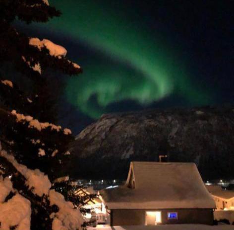 Tromso Arctic Villa With Free Parking Exteriör bild